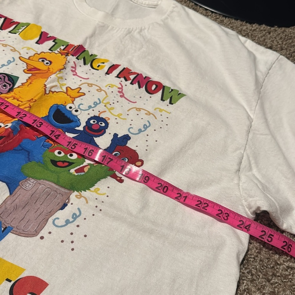 Adorable nostalgic Sesame Street Gildan heavy cotton t-shirt (2XL) - EUC! - Picture 3 of 6
